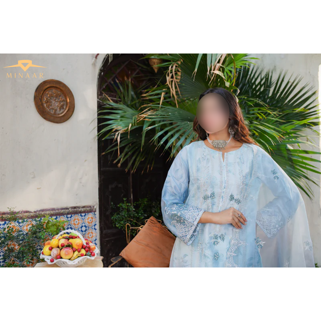 Sky Blue Embroidered Organza 3-Piece Suit with Printed Silk Trouser