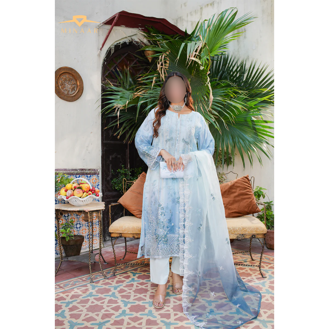 Sky Blue Embroidered Organza 3-Piece Suit with Printed Silk Trouser