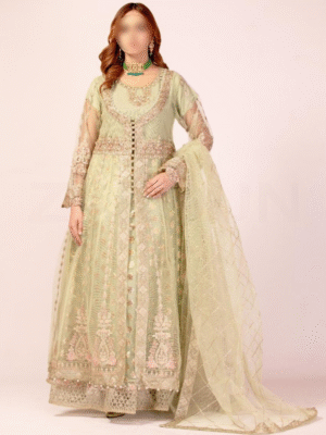 Pakistani Wedding Dresses
