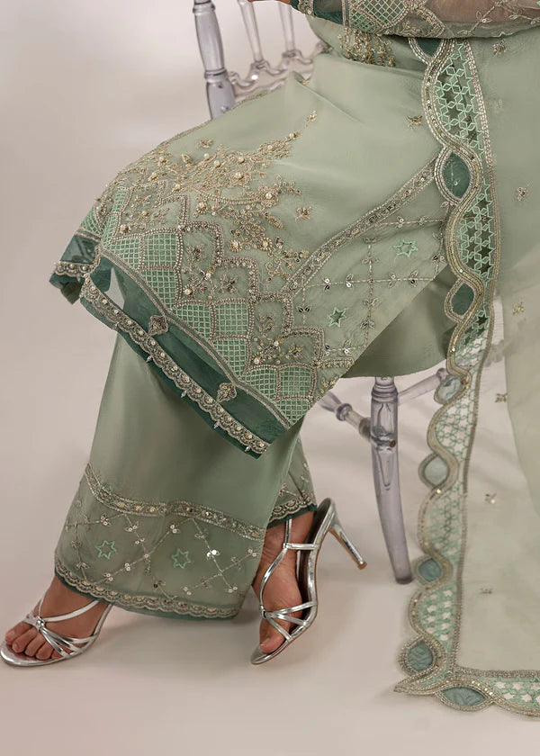Mint green embroidered organza kurta set with straight trouser and organza dupatta, ideal for festive and party wear