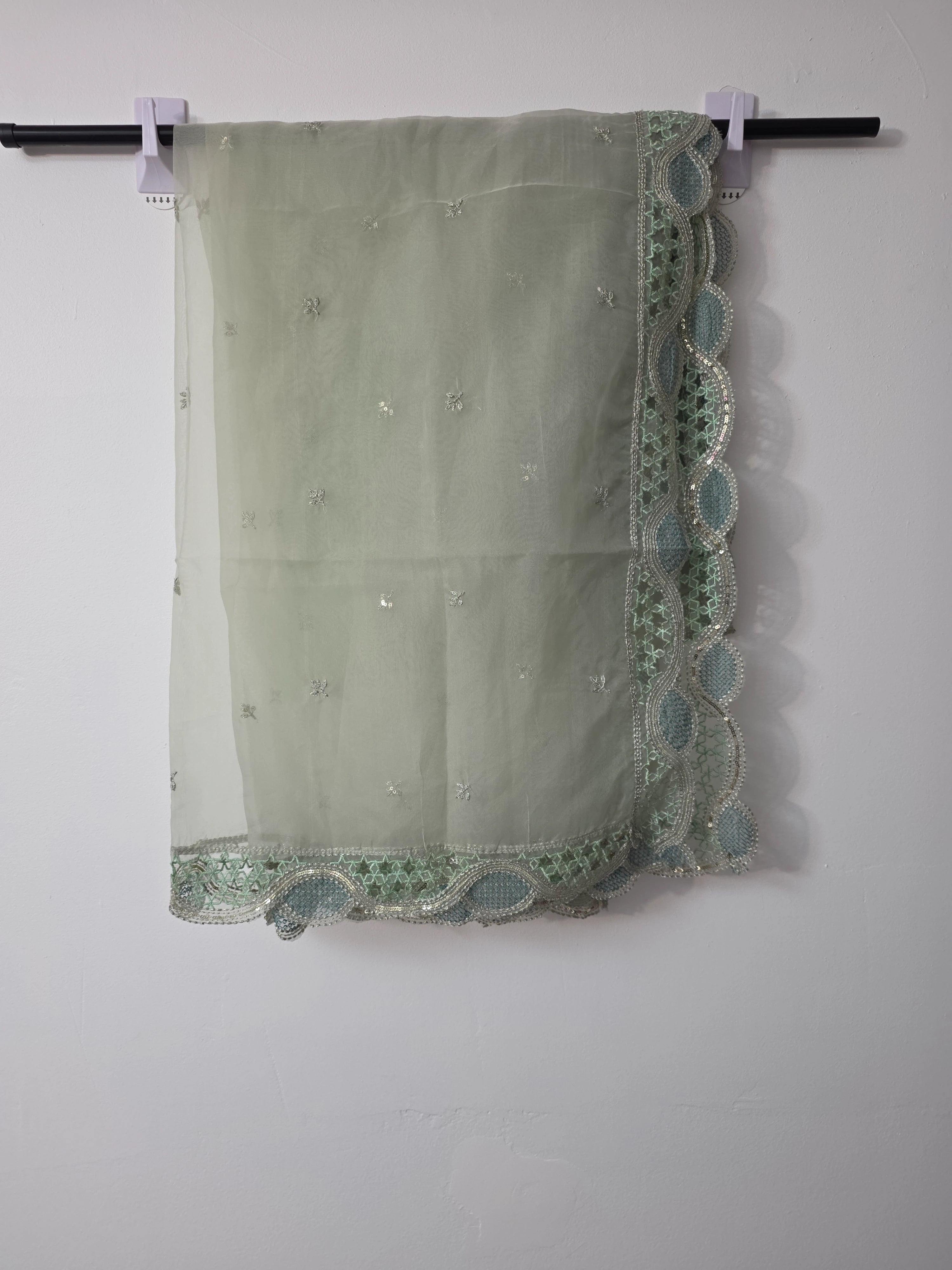 Mint green organza Pakistani dress with delicate embellishments