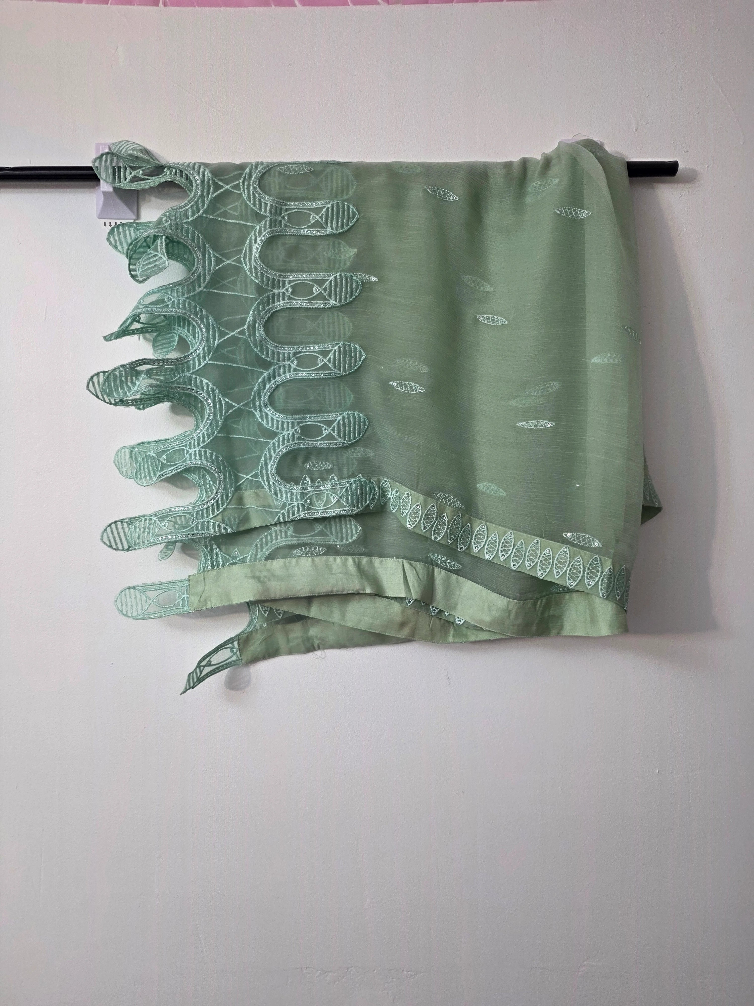 Sage green Pakistani 3 piece suit with embroidered chiffon dupatta