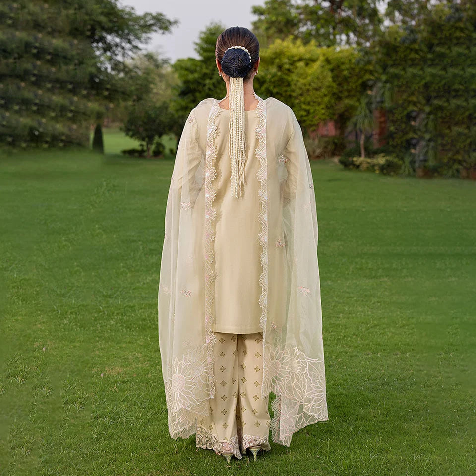 Women Pakistani summer cotton 3 piece embroidered outfit with organza dupatta