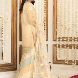 SKIN FEROZI GARARA - Indian Dress for Special Occasions - Image 2