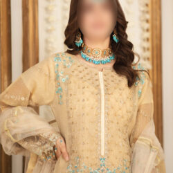 SKIN FEROZI GARARA - Indian Dress for Special Occasions - Image 3