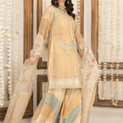 SKIN FEROZI GARARA - indian dress