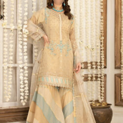 SKIN FEROZI GARARA - Indian Dress for Special Occasions - Image 4